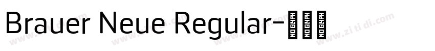 Brauer Neue Regular字体转换
